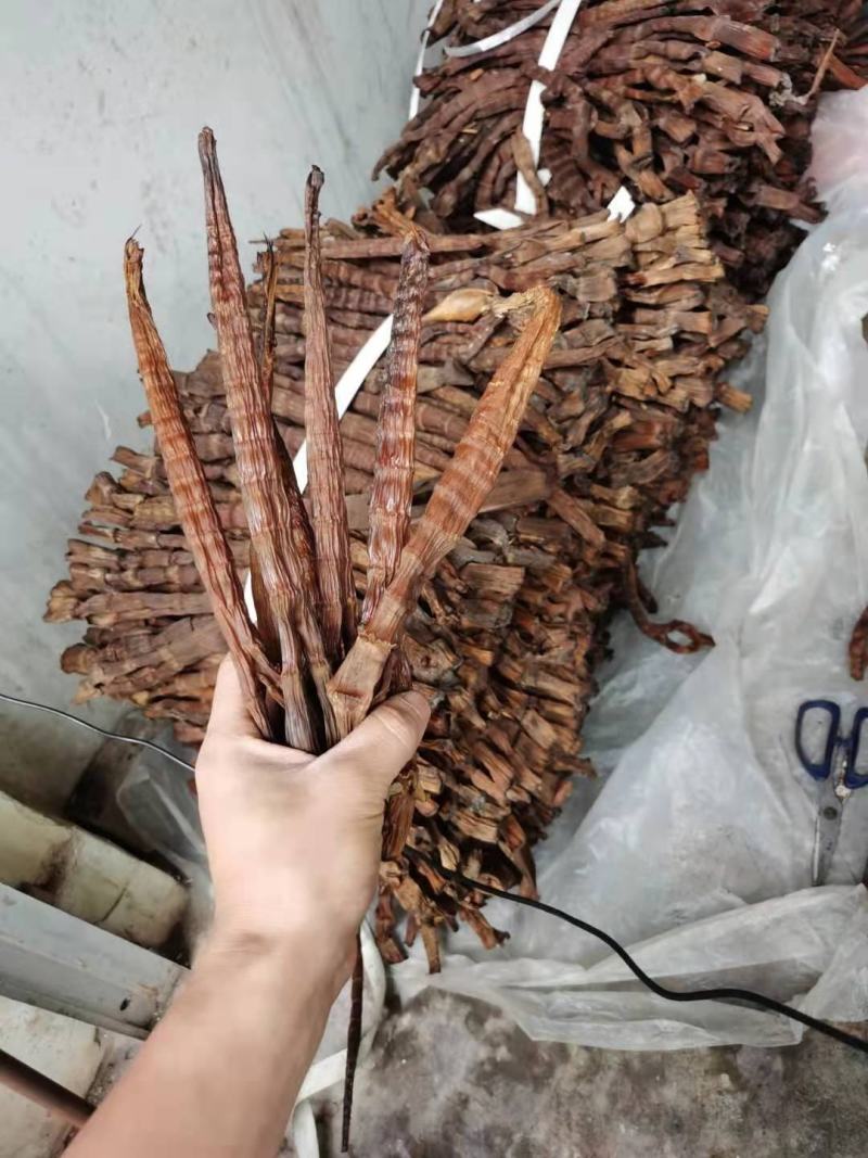 筒筒笋牛尾笋烟笋大竹笋笋干