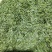峨眉山高山绿茶，精品绿茶