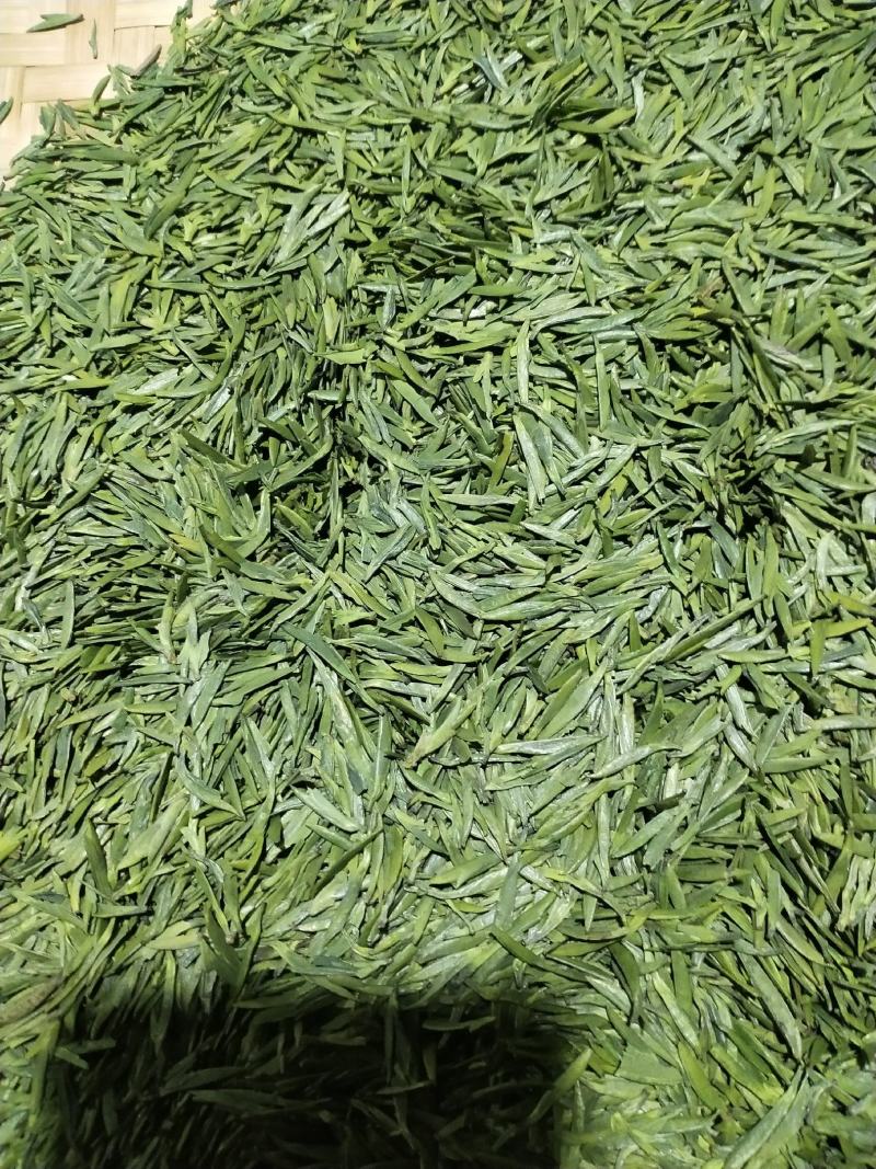 峨眉山高山绿茶，精品绿茶
