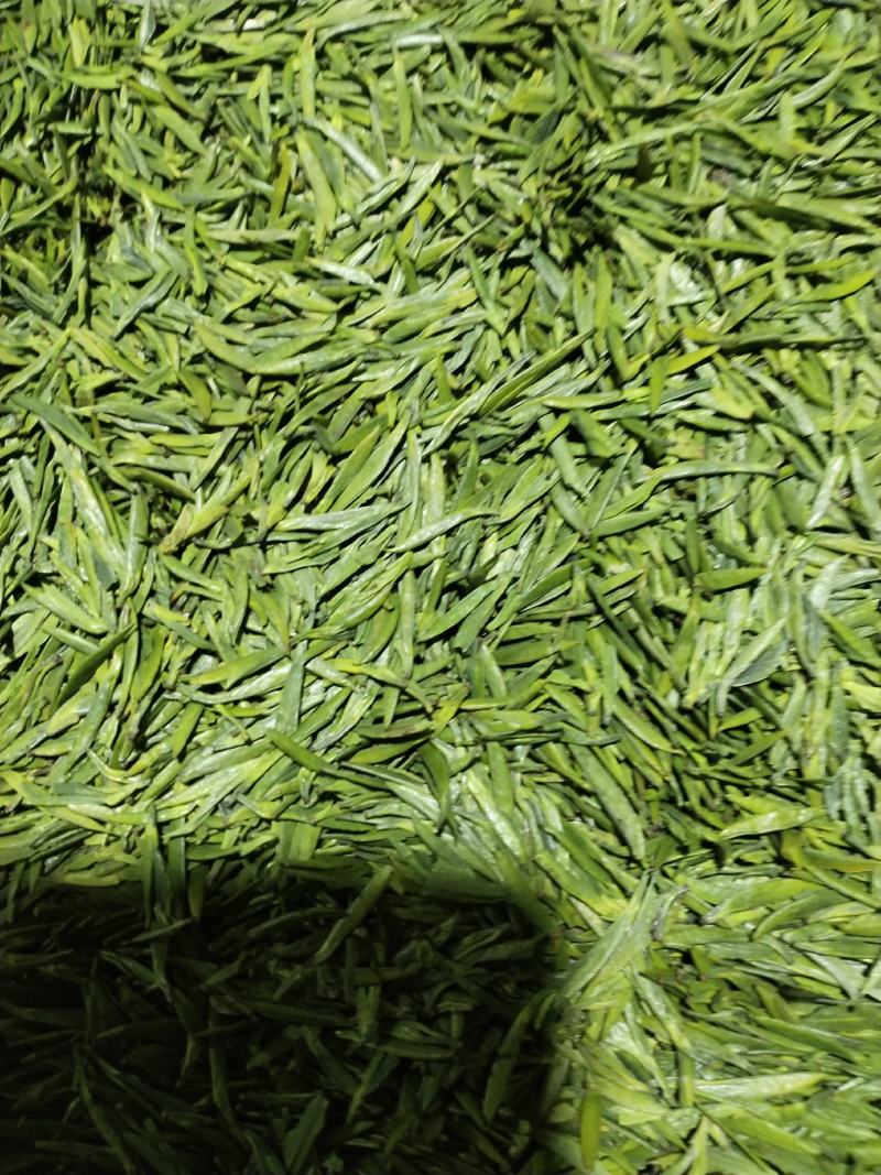 峨眉山高山绿茶，精品绿茶