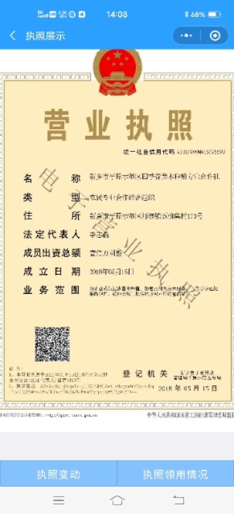 300亩楸树急卖3到5公分精品