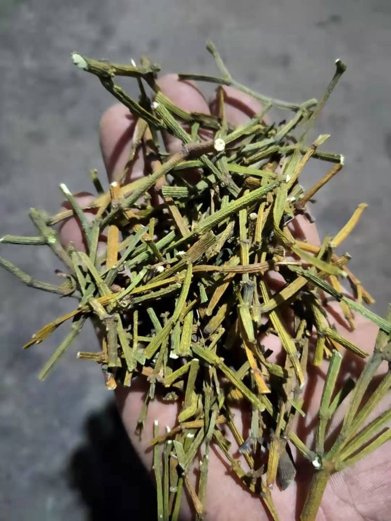 螃蟹脚寄生草干货出售欢迎订购