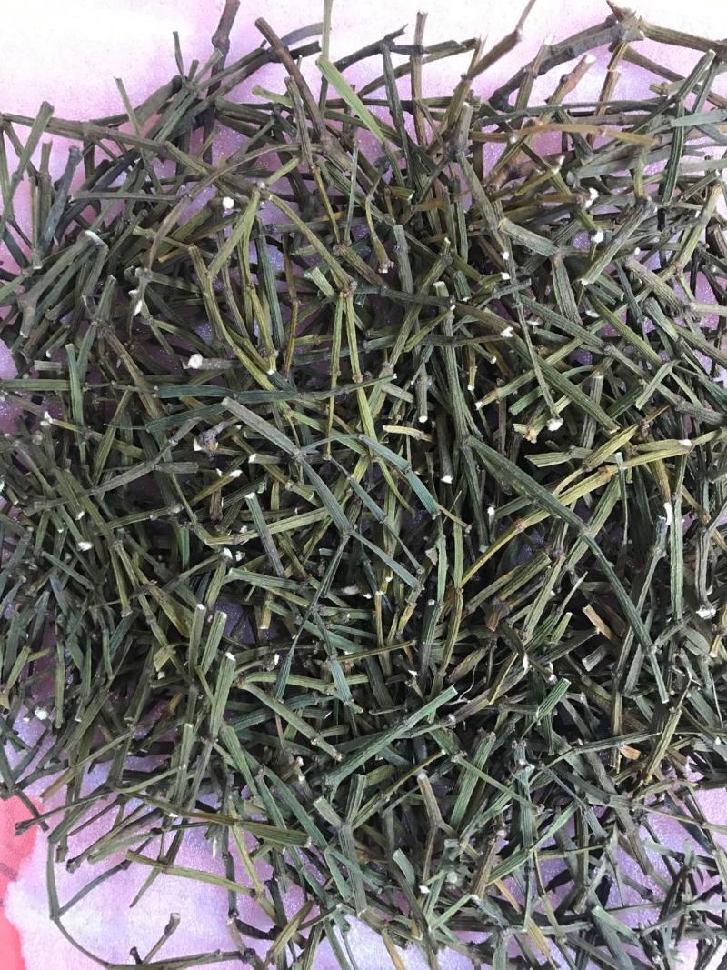 螃蟹脚寄生草干货出售欢迎订购