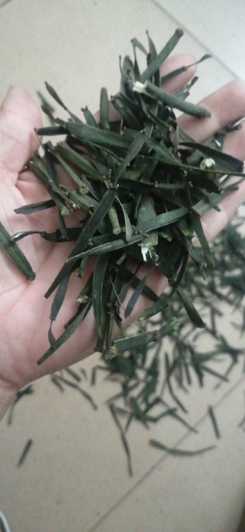 螃蟹脚寄生草干货出售欢迎订购