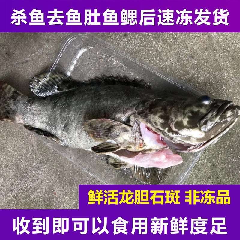 石斑鱼电商一件代发，顺丰发货