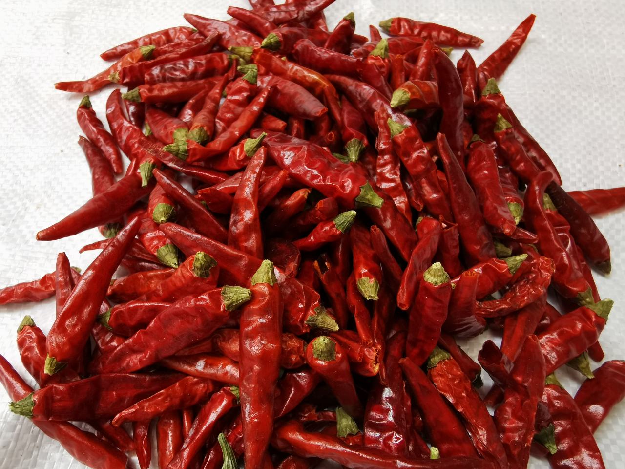 干辣椒在锅中翻炒