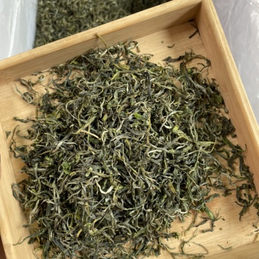 2022毛尖绿茶（春茶上市，