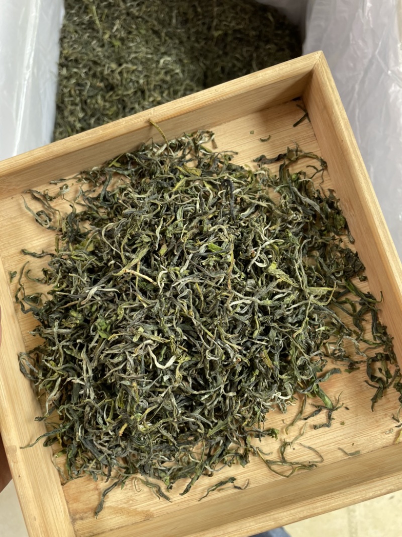 2022毛尖绿茶（春茶上市，