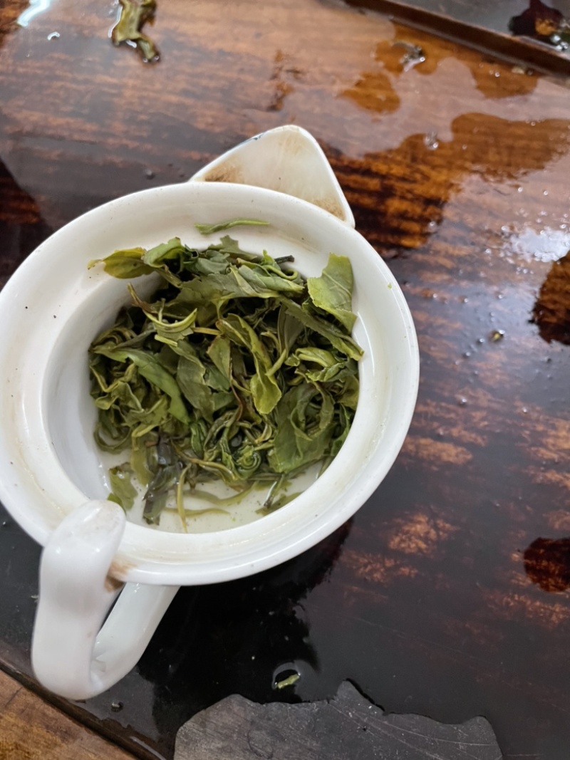 2022毛尖绿茶（春茶上市，
