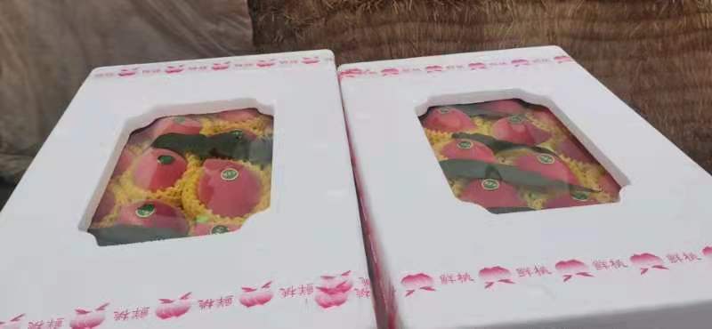 水蜜桃新鲜采摘！基地