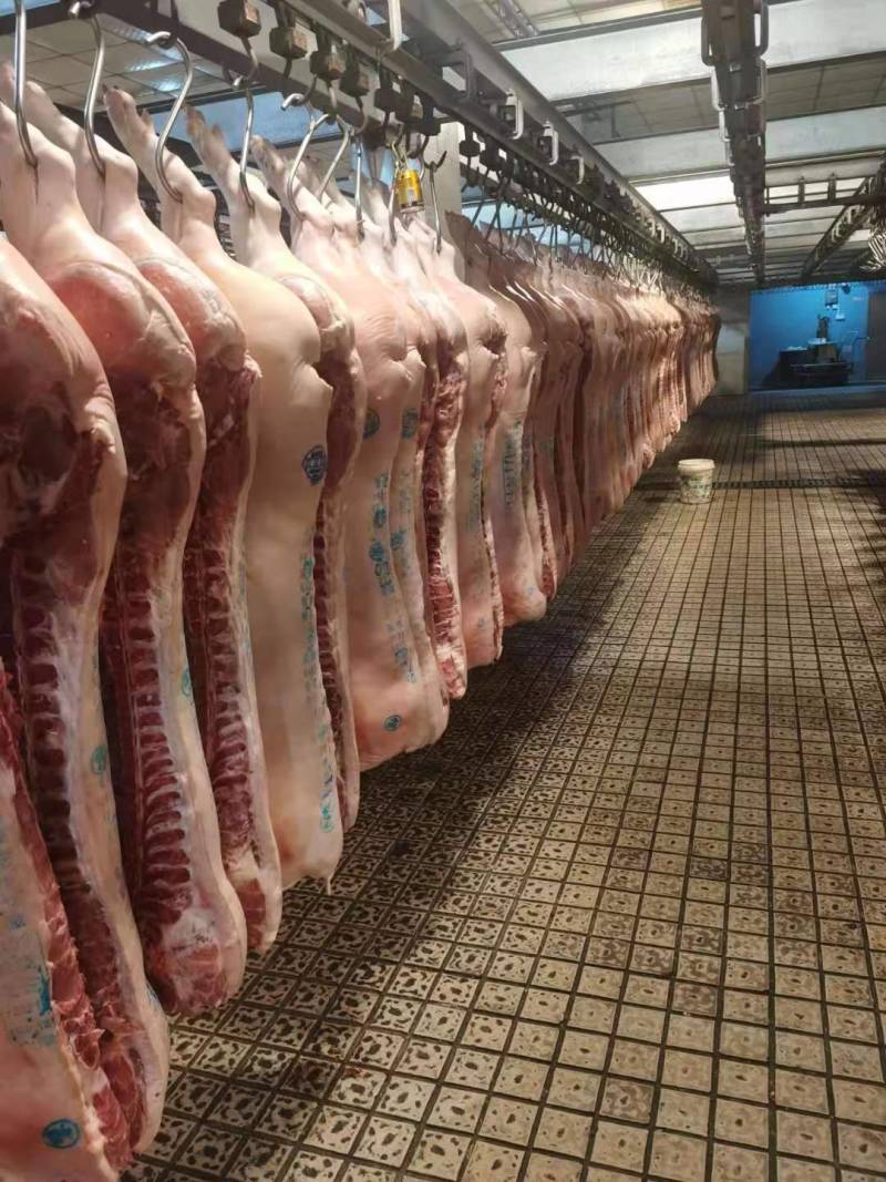 冷鲜猪肉，整片，分割