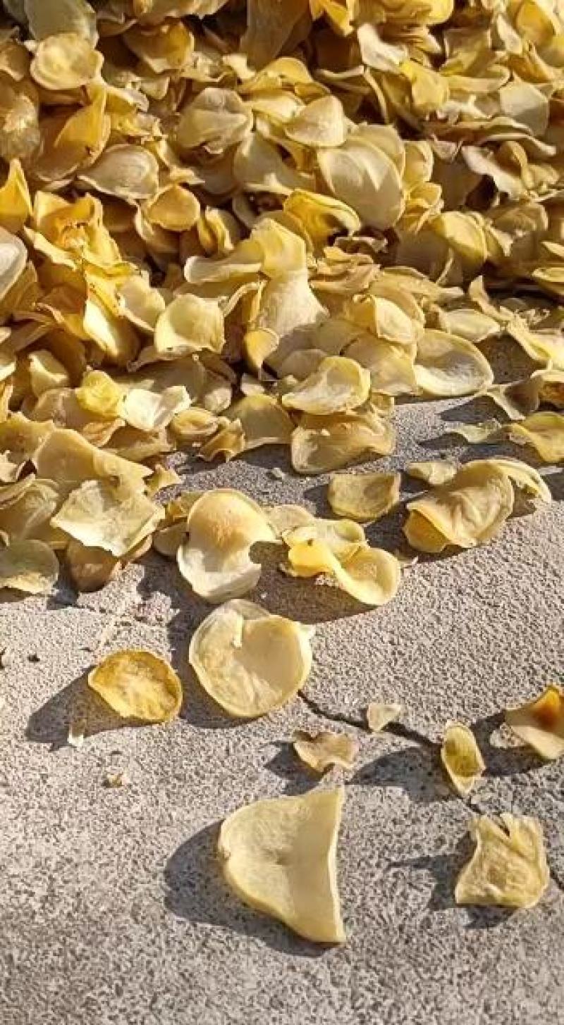 土豆片—农户天然晒干的、烘干机烘干的:价格便宜，量大从优