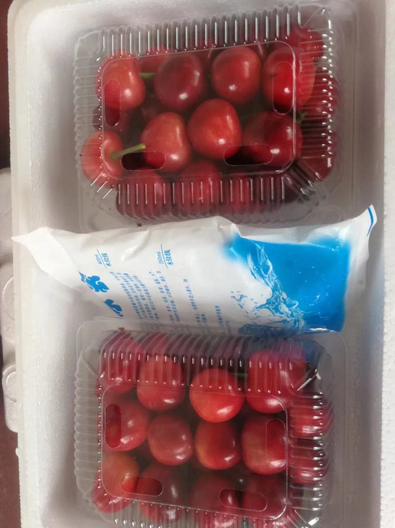 中油4号大量上市，要的联系我。