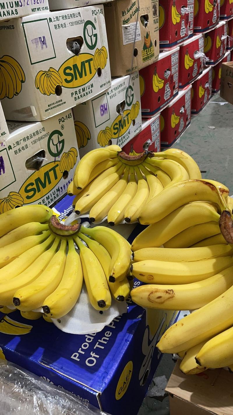 特价精品菲律宾进口香蕉。常年大量供应，电商平台，批发零售