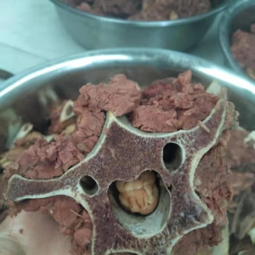 熟肉驴蝎子马蝎子多肉检疫安全真空包装新鲜持续有货