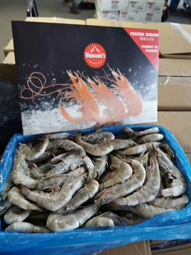 欧玛莎盐冻大(四证齐全)厄瓜多尔白对虾货源充足规格齐全