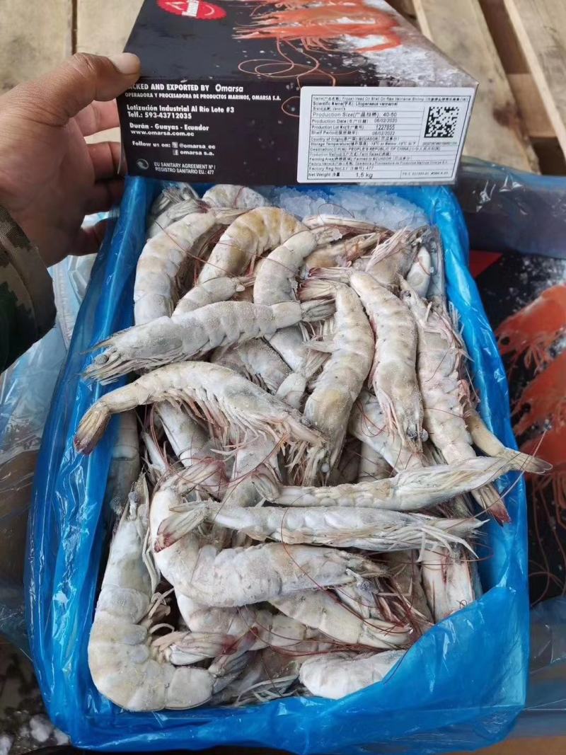 欧玛莎盐冻大(四证齐全)厄瓜多尔白对虾货源充足规格齐全