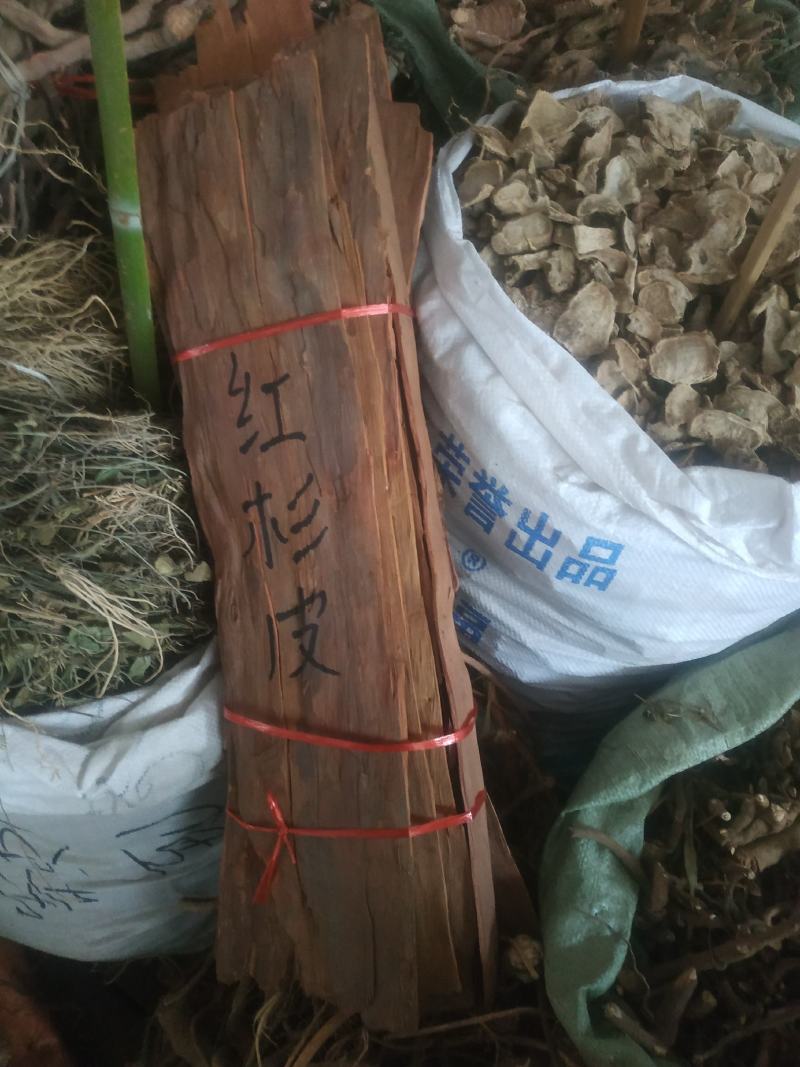 紫杉树皮～靓货～一手货源～切53,正块55～1公斤起售～