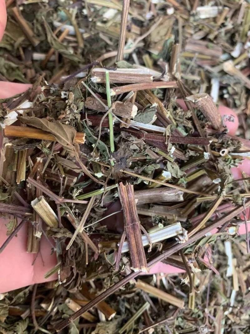 溪黄草【包邮】三斤起发货可批量可零售量大从优