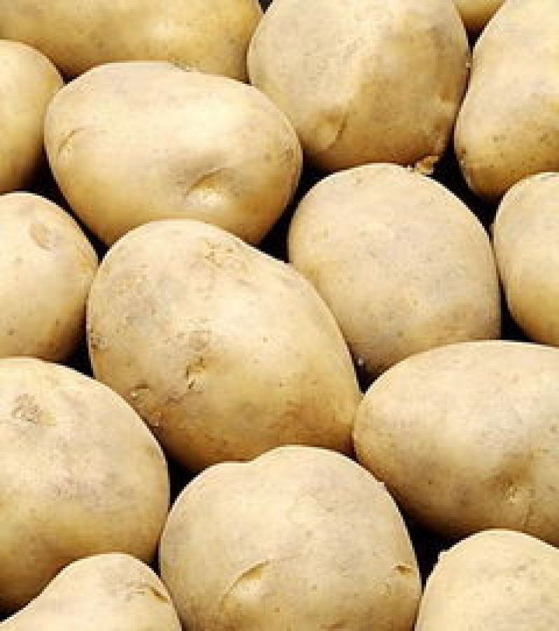 土豆黄心大土豆精品货。