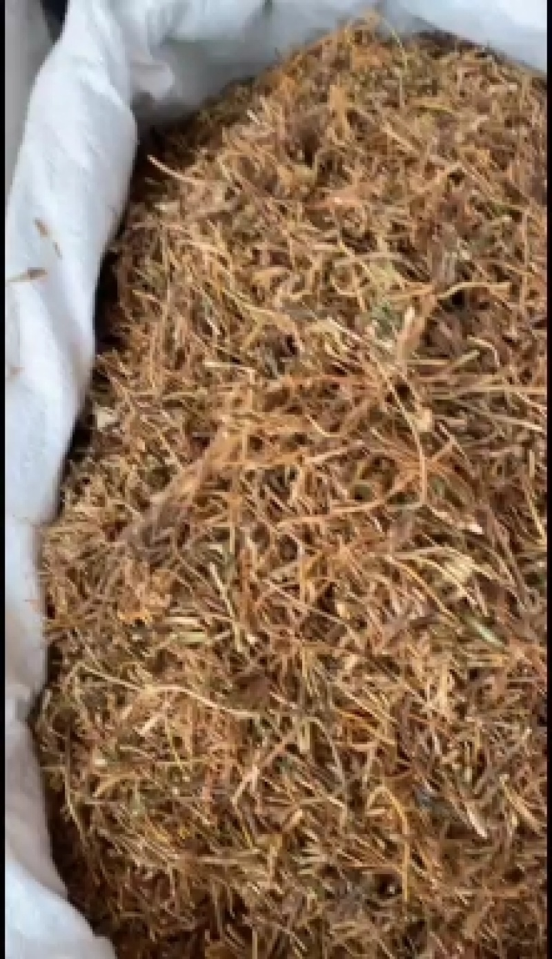 龙胆草中药材批发龙胆草龙胆苦胆草胆草