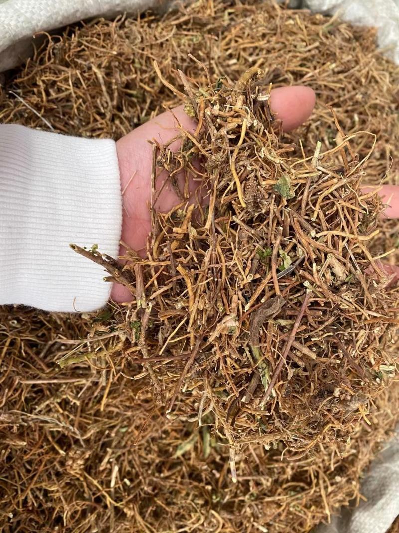 龙胆草中药材批发龙胆草龙胆苦胆草胆草