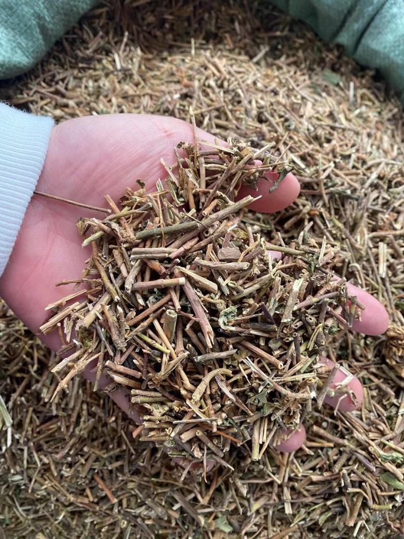 龙胆草中药材批发龙胆草龙胆苦胆草胆草