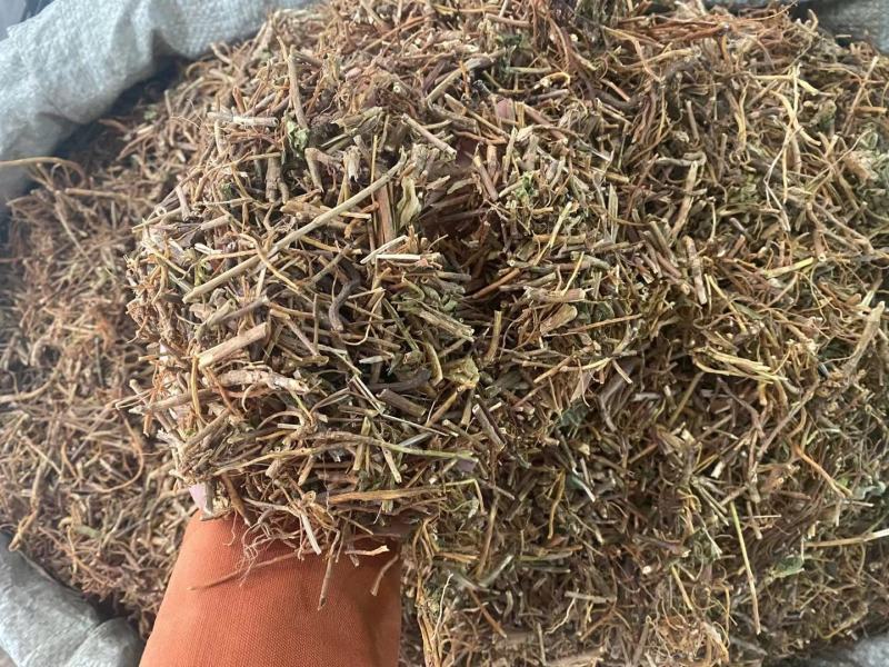 龙胆草中药材批发龙胆草龙胆苦胆草胆草