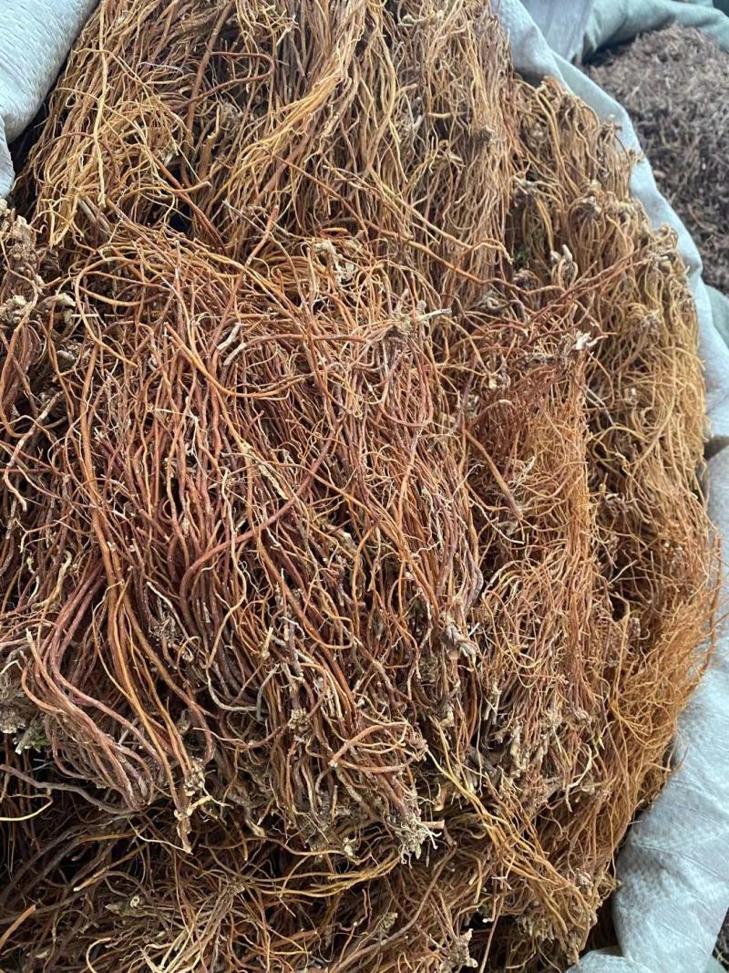 龙胆草中药材批发龙胆草龙胆苦胆草胆草