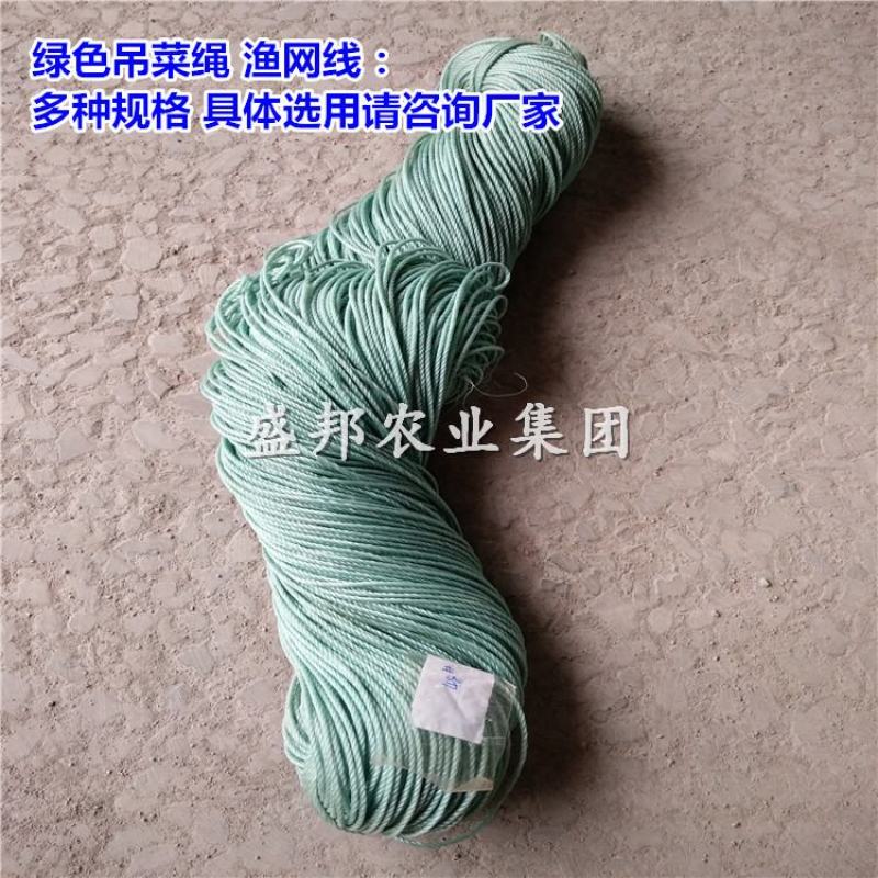 蔬菜吊菜绳绿色吊菜绳吊蔓绳