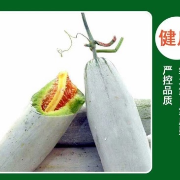 茄果类山东莘县甜瓜种植基地