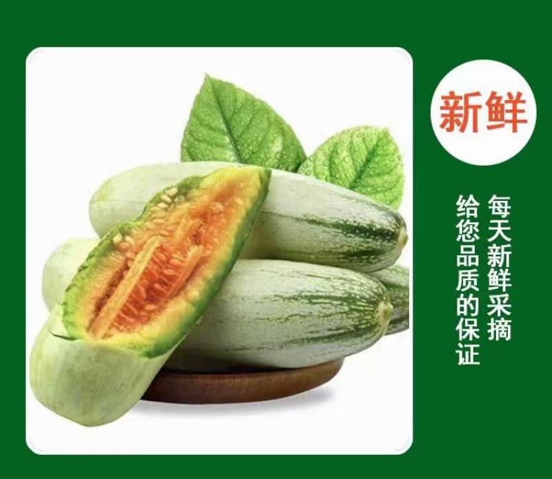 茄果类山东莘县甜瓜种植基地