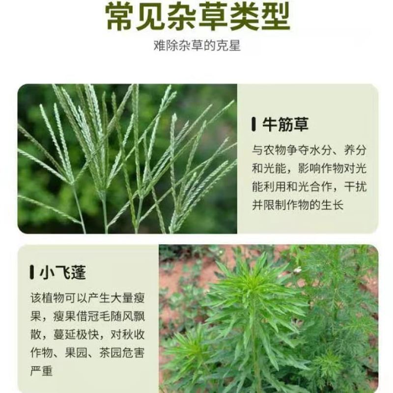 沪联20%草速顿草铵膦杂草牛筋草芦苇一年生禾本科除草剂药