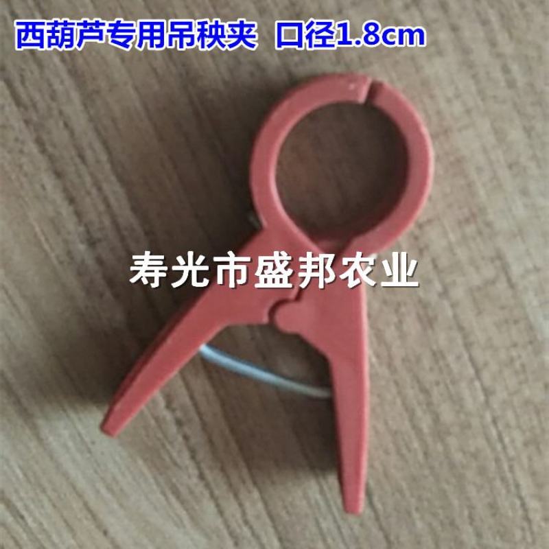 西红柿吊秧夹黄瓜吊蔓夹西葫芦绑秧夹