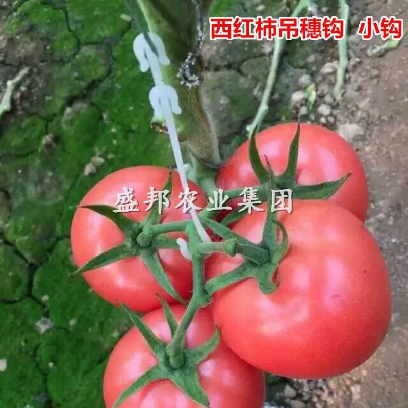 西红柿吊穗钩果穗钩
