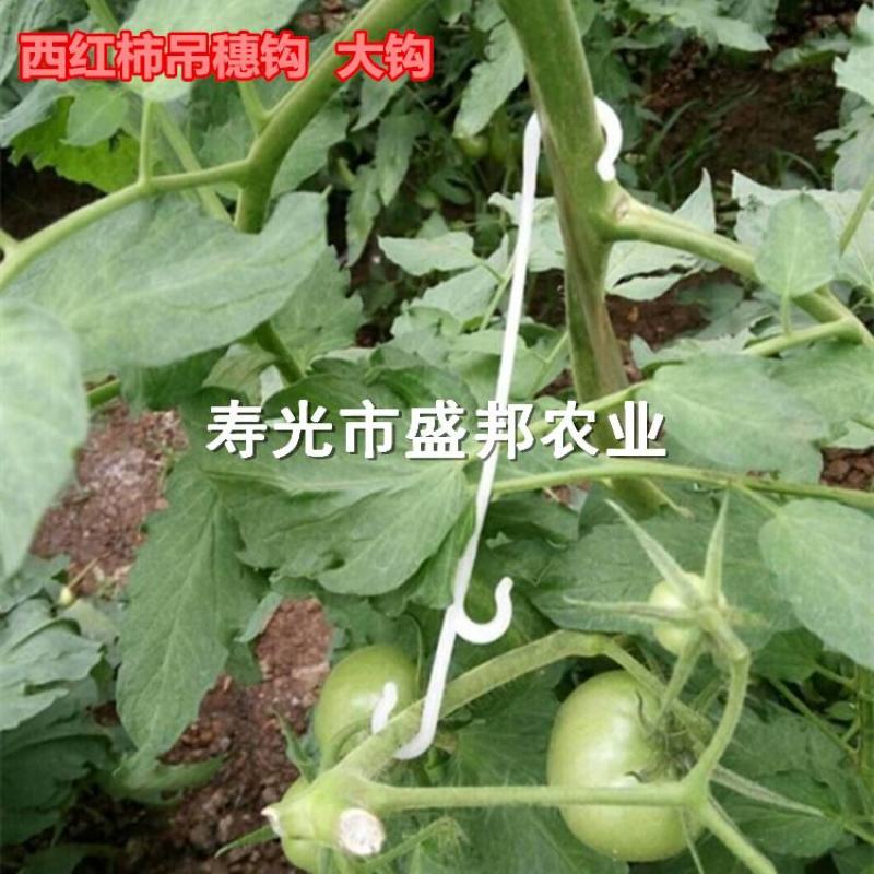 西红柿吊穗钩果穗钩