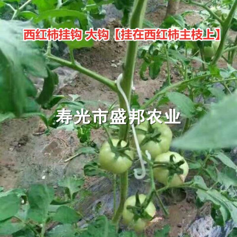 西红柿吊穗钩果穗钩