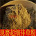 中药材排草粉包邮香料大全卤料火锅配料卤菜火锅然调料