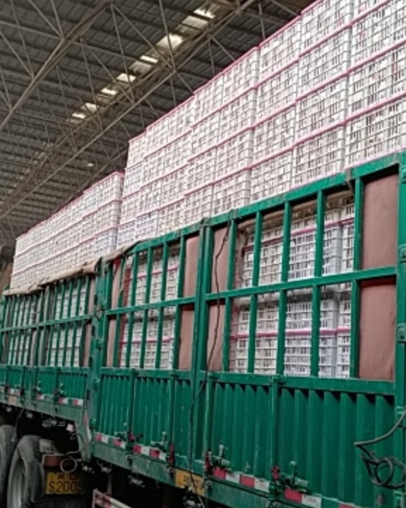 丑桔。国产，货源充足天。好吃。有需要的新老客户在一亩田联