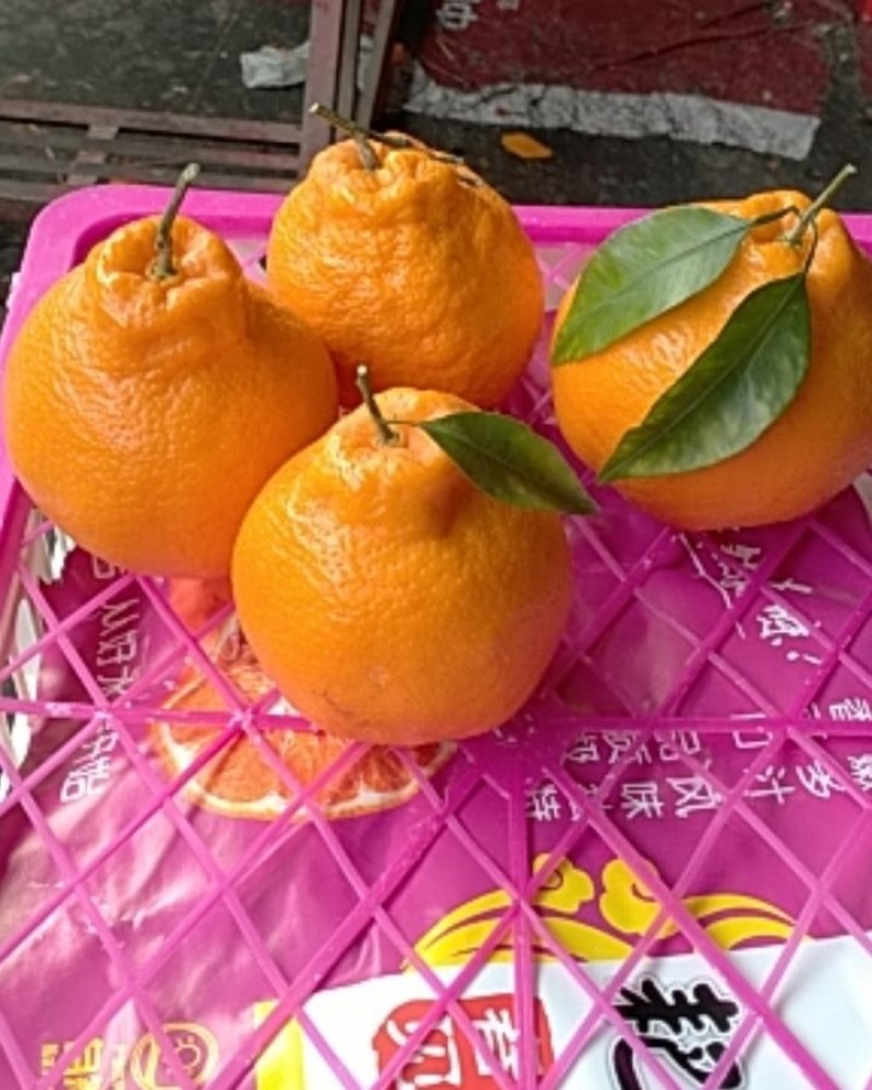 丑桔。国产，货源充足天。好吃。有需要的新老客户在一亩田联