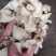 白芨片三叉白芨片中药材批发白芨2斤起发货