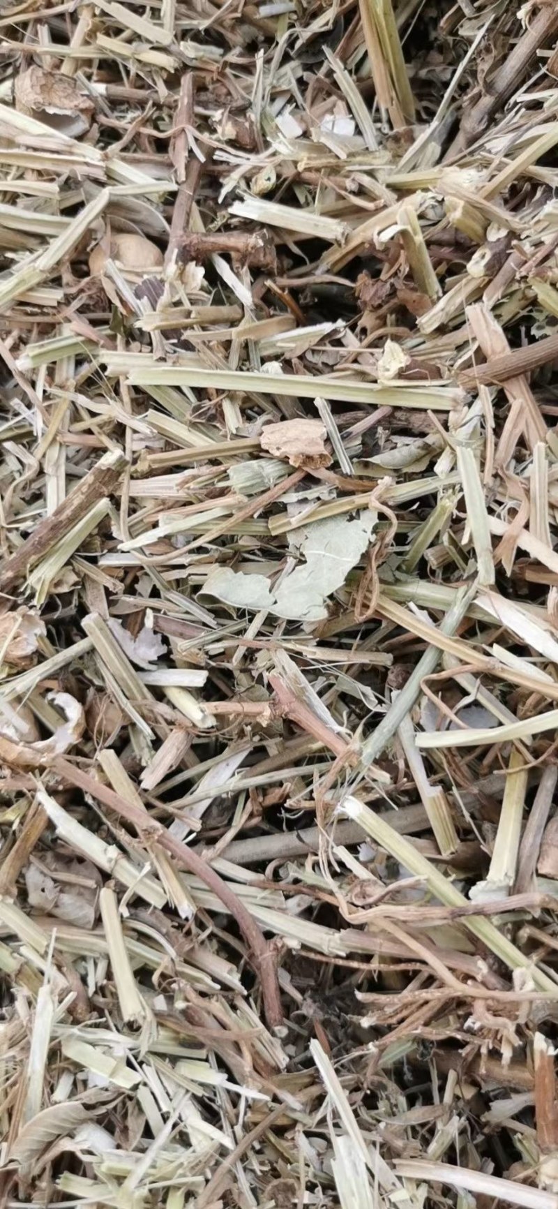 常年大量出售一级花生秧二级花生秧