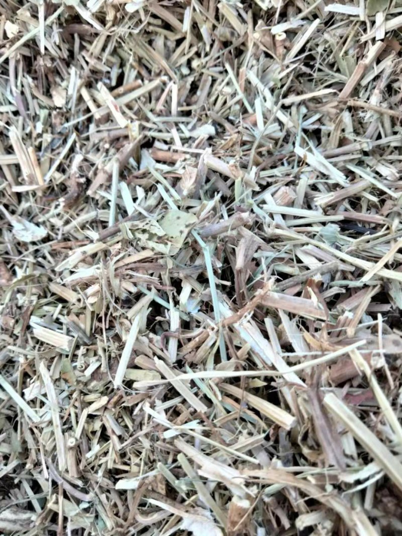 常年大量出售一级花生秧二级花生秧