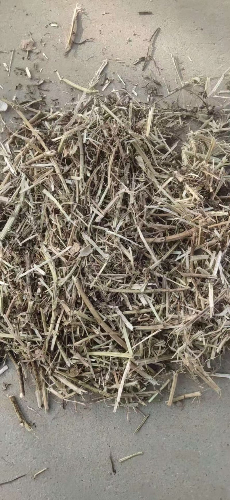 常年大量出售一级花生秧二级花生秧