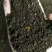 河北省优质羊粪有机肥厂家直供从优全国发货