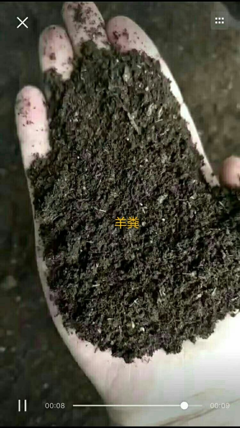 河北省优质羊粪有机肥厂家直供从优全国发货
