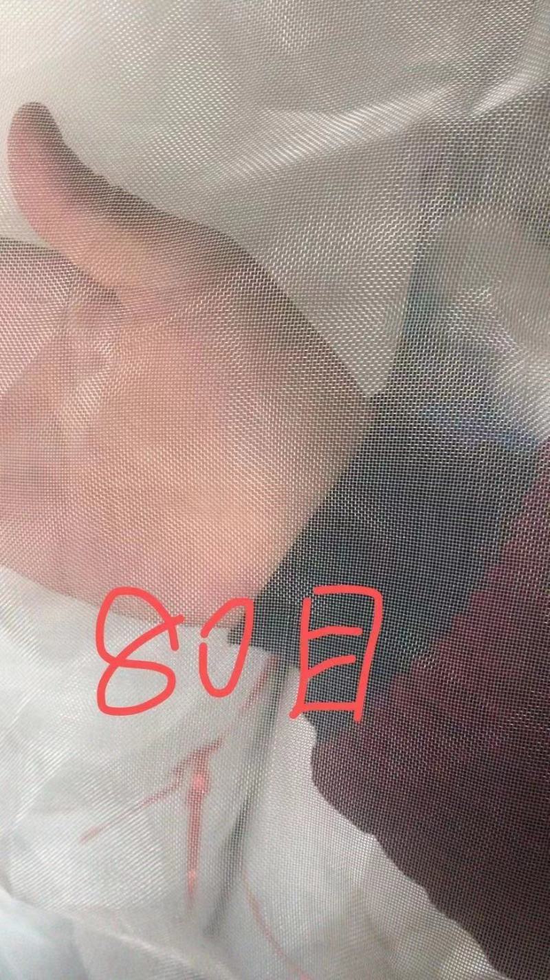 水蛭养殖网箱定做纯扬子料结实耐用泥鳅黄鳝孵化用网箱