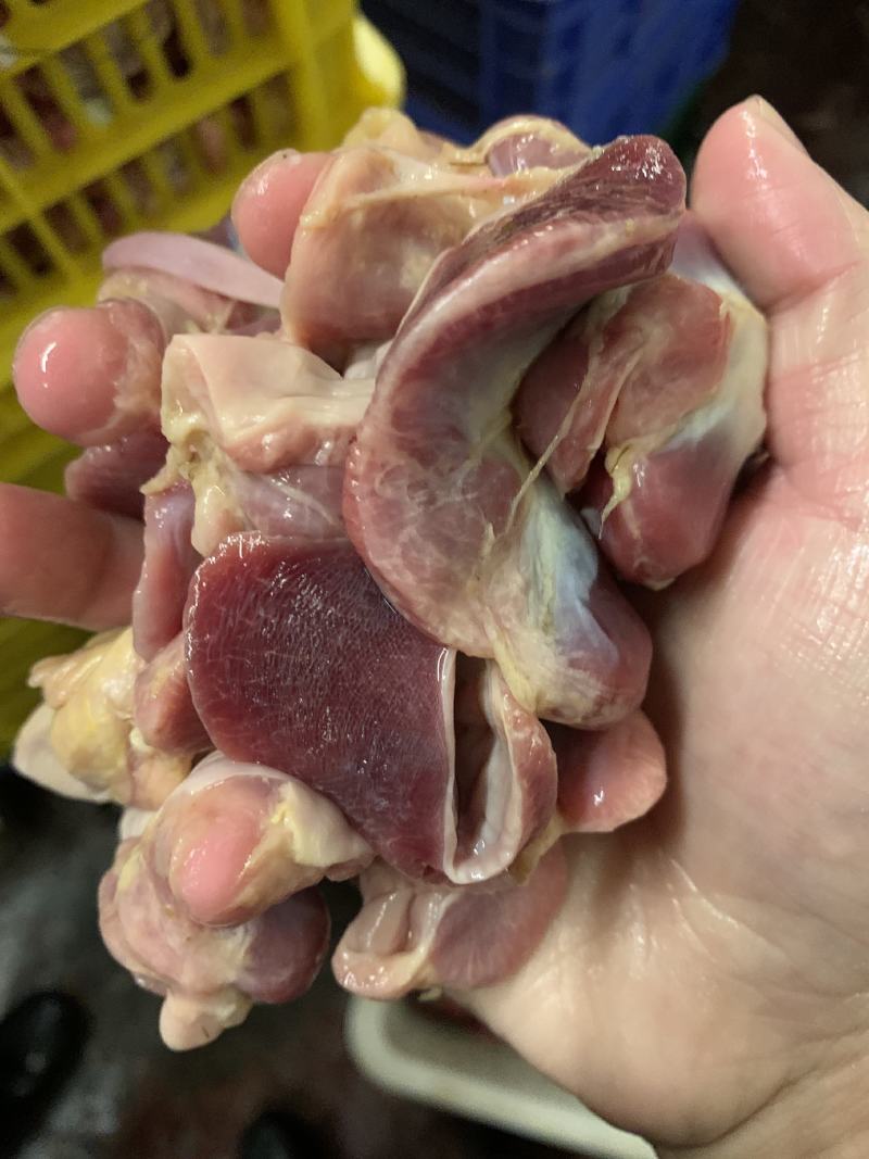 新鲜鸡肾，物流专线运输