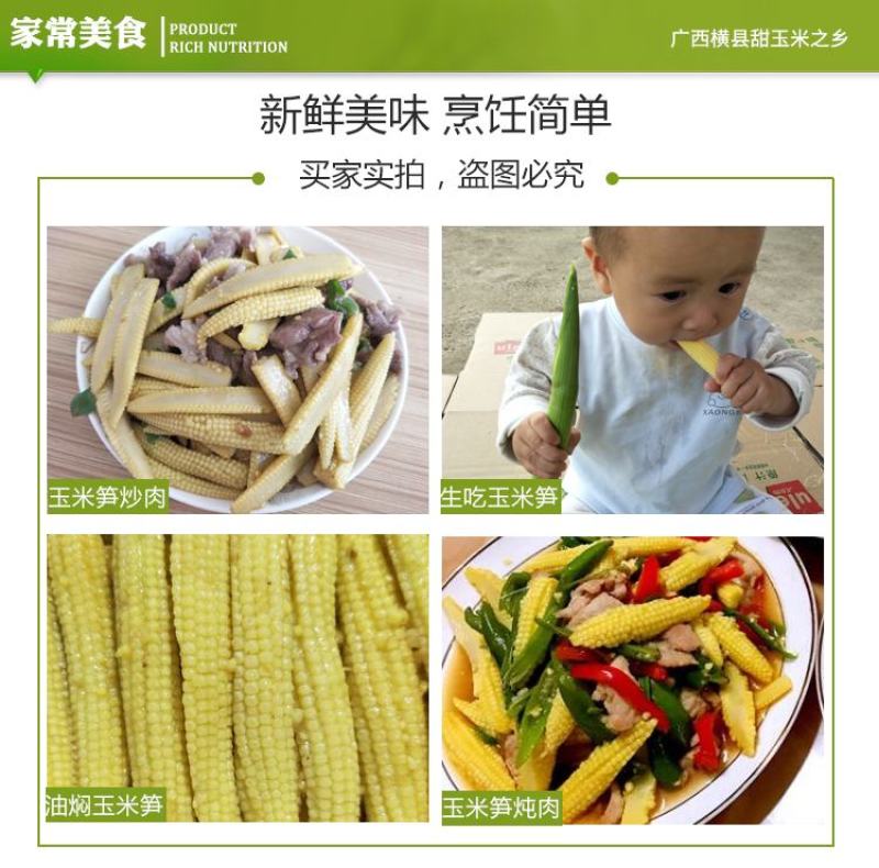 广东水果甜玉米笋新鲜斤玉米芯玉米笋带皮带须包邮。