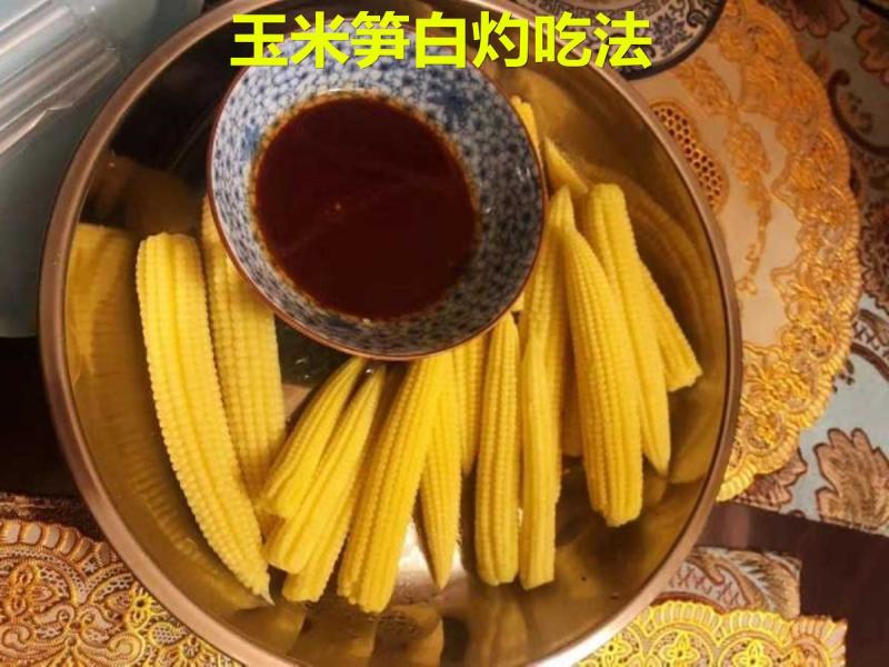 广东水果甜玉米笋新鲜斤玉米芯玉米笋带皮带须包邮。